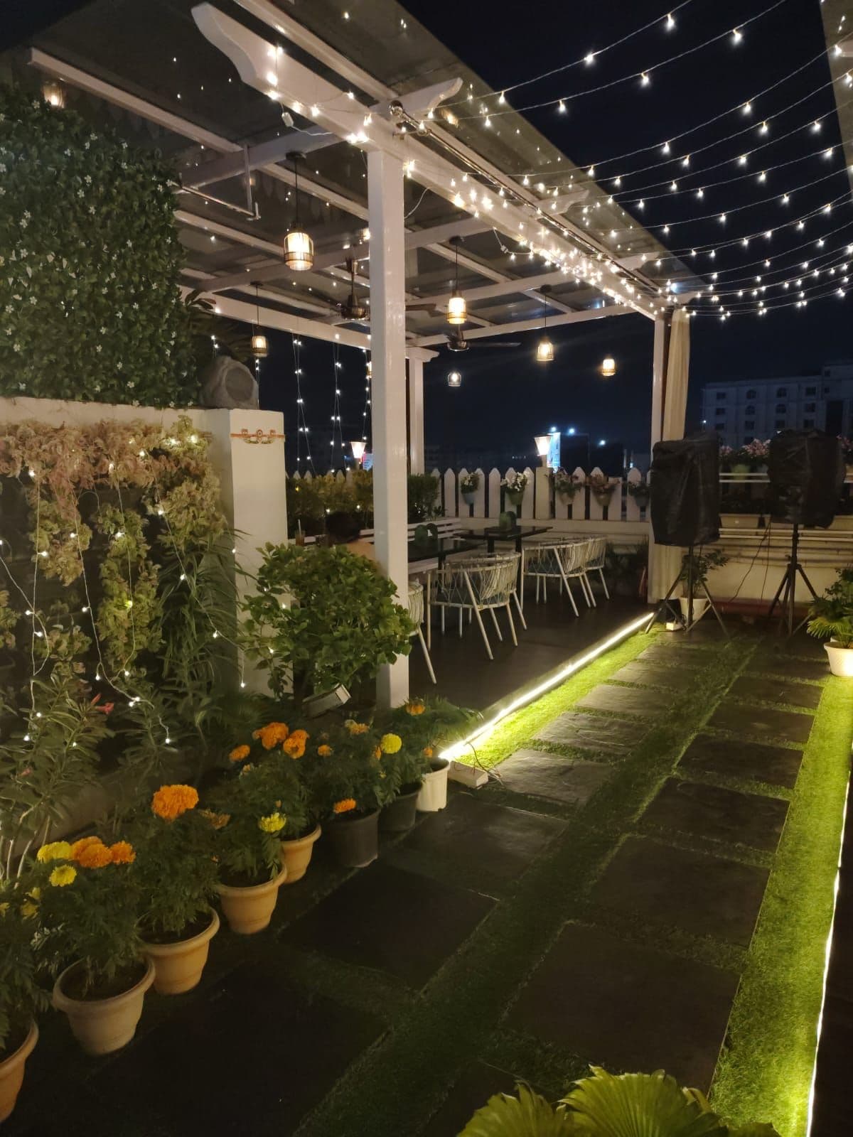 Garden Pathway at Night